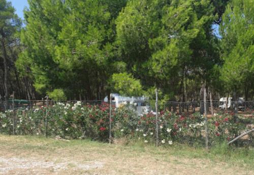 Agricampeggio La Pineta in Lesina, Italy