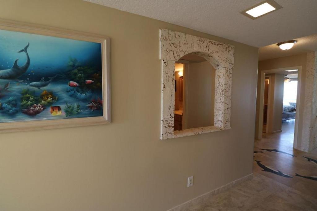 Sand Dollar 2 405 — Saint Augustine — photo 2