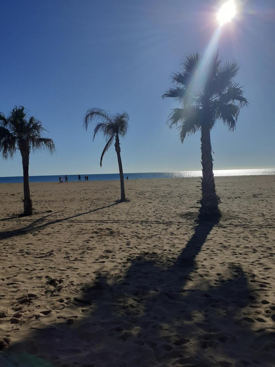 T1 Hyper Centre de Valras Plage in Valras-Plage, France