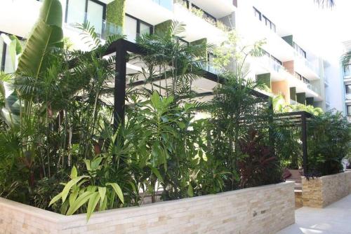 Your exclusive Studio in The City TOP amenities & services for free — 4-Star Luxury Hotel in Playa Del Carmen, Mexico