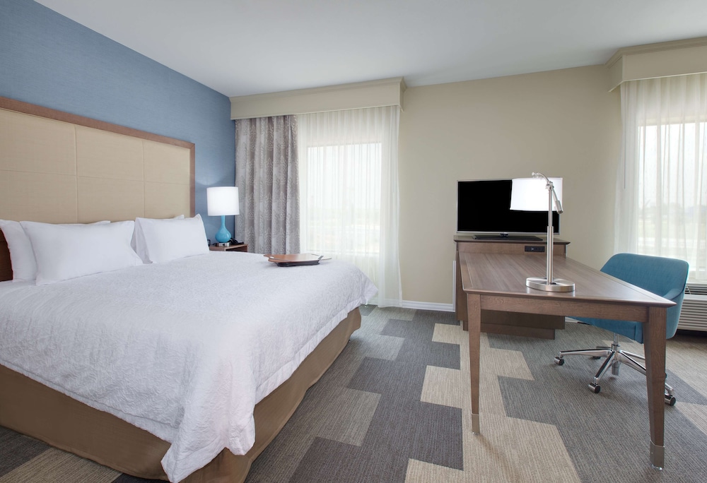 Hampton Inn Snyder TX - photo 5