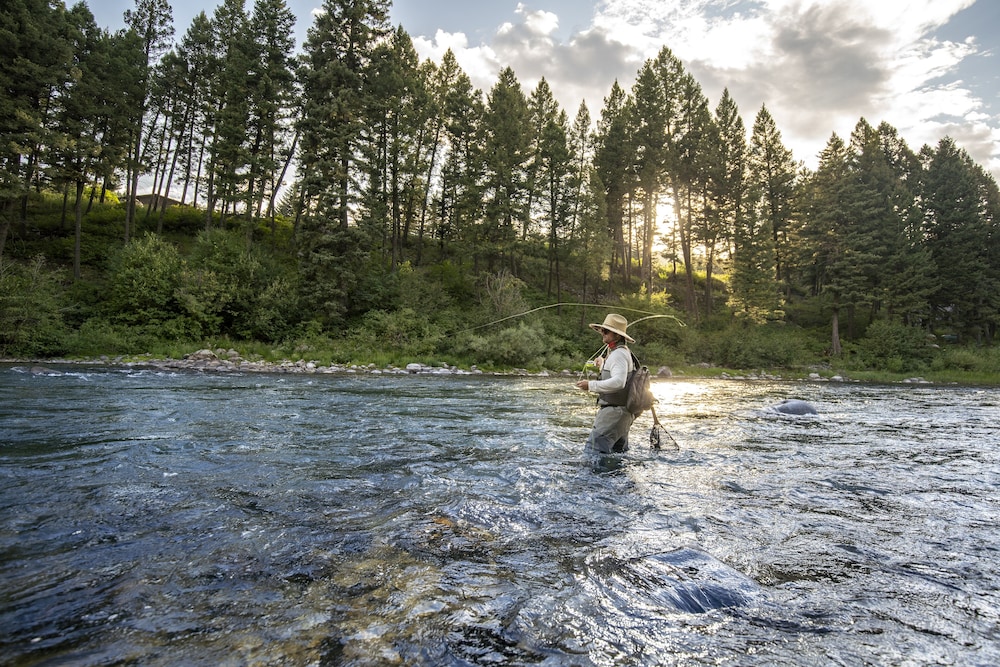 Residence Inn by Marriott Bozeman Downtown - photo 28