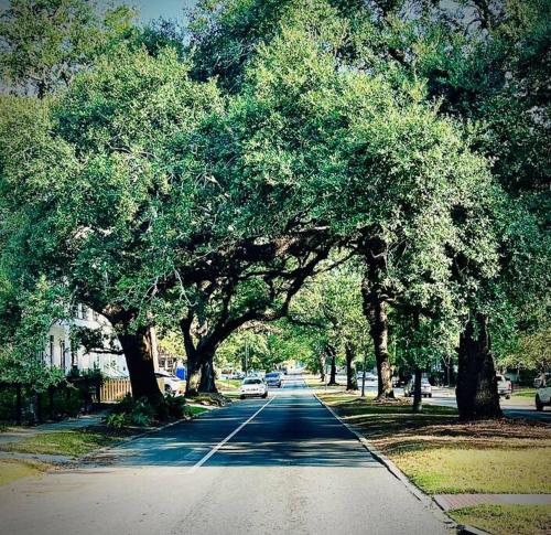 Redstick Cottage — 4-Star Luxury Hotel in Baton Rouge, United States