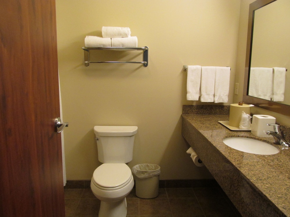 Holiday Inn Express and Suites Sioux Falls SW by IHG - photo 10