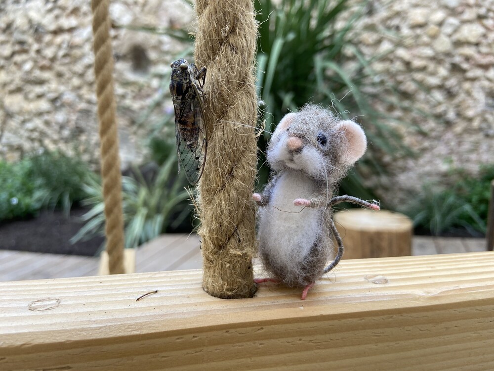 Félix Le Renfrogné Aubagne Cassis Aix En Provence in Aubagne, France