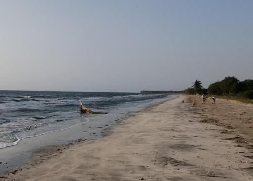 El Refugio del Caiman in Unknown City, Colombia