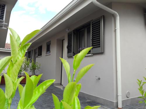Residence BiDreams — Zambrone — photo 3