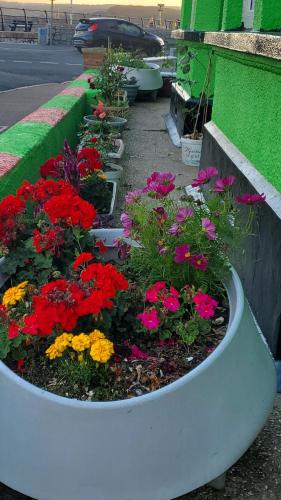 Ash Hotel B&B in Exeter, United Kingdom