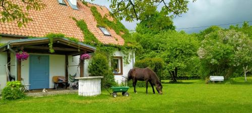 Apartamenty Na Wsi Horses And Relax 18193110 — Mlynary