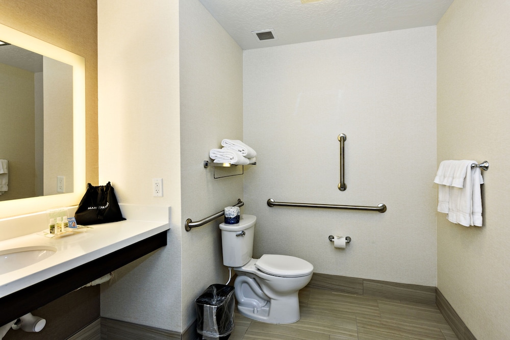 Holiday Inn St. George Conv Ctr by IHG - photo 6