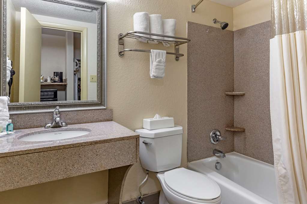 Quality Inn & Suites Greensboro High Point - photo 12