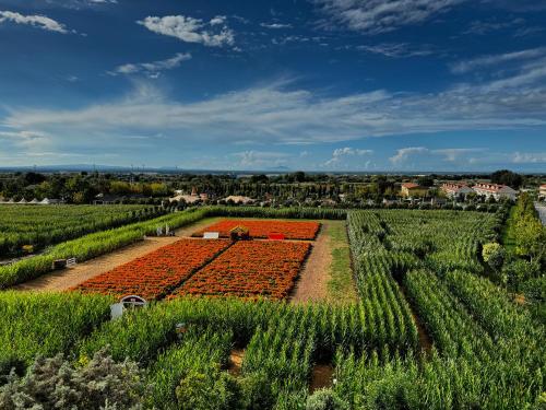 Appartamento La Rondine — 4-Star Luxury Hotel in Pignataro Maggiore, Italy