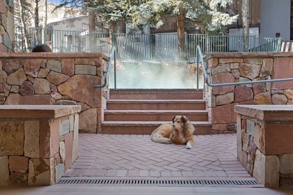 The Galatyn Lodge - photo 25