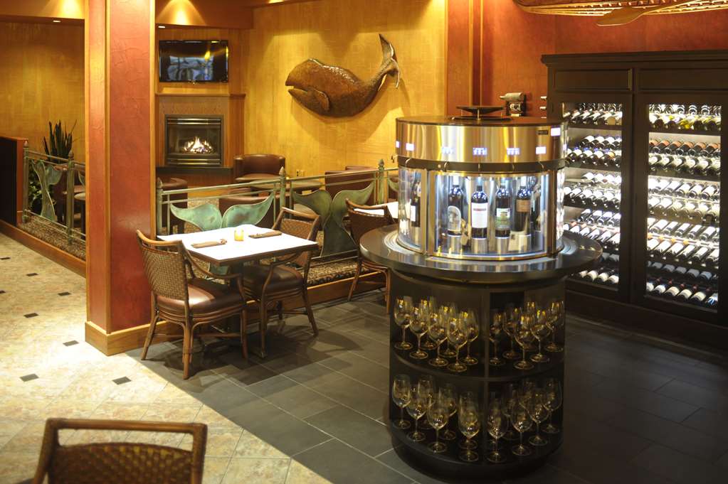 Hotel Captain Cook - photo 19