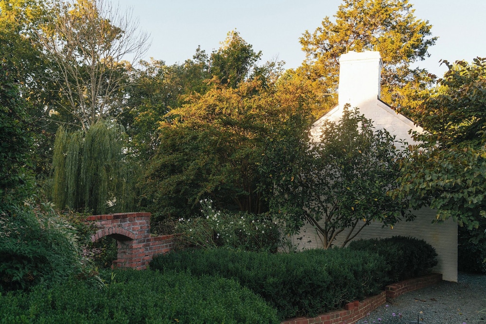 The Clifton - photo 93