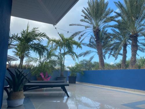 Place2cu in Willemstad, CURAÇAO