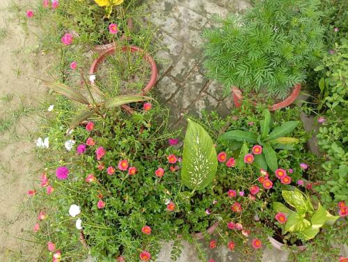 Atithi home stay and Cloud Kitchen — Ajodhya — photo 5