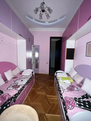 Apartment in the center of the city Vera