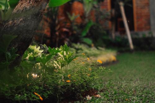 The Govardhan Homestay — 4-Star Luxury Hotel in Canggu, Indonesia