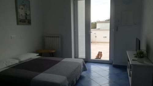 Citara mare — Ischia — photo 2