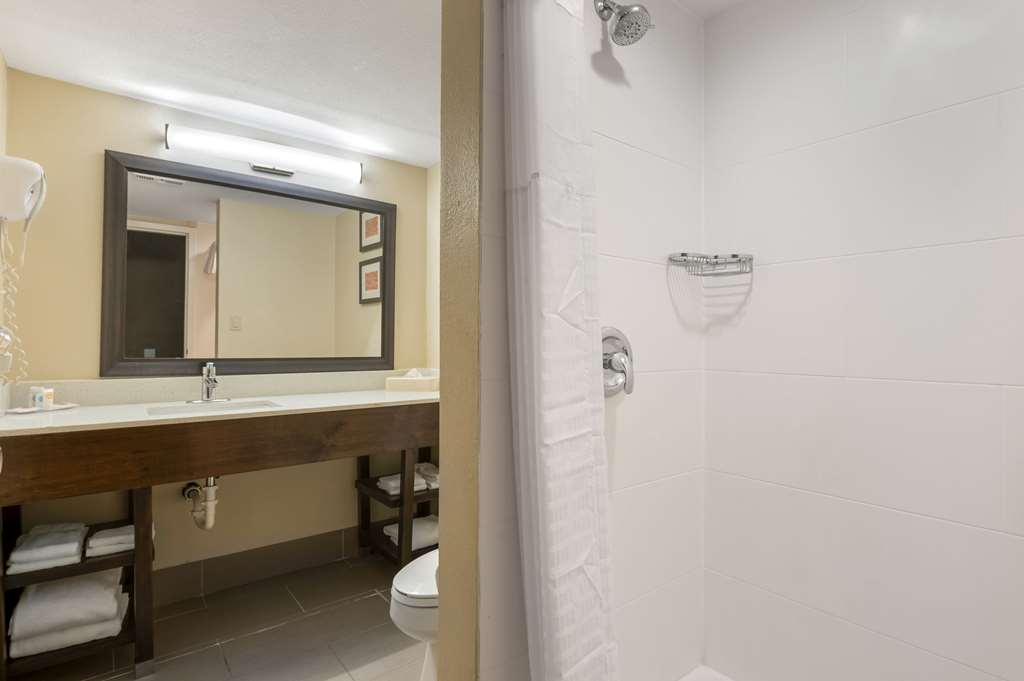 Comfort Inn & Suites Indianapolis Northwest College Park - photo 18