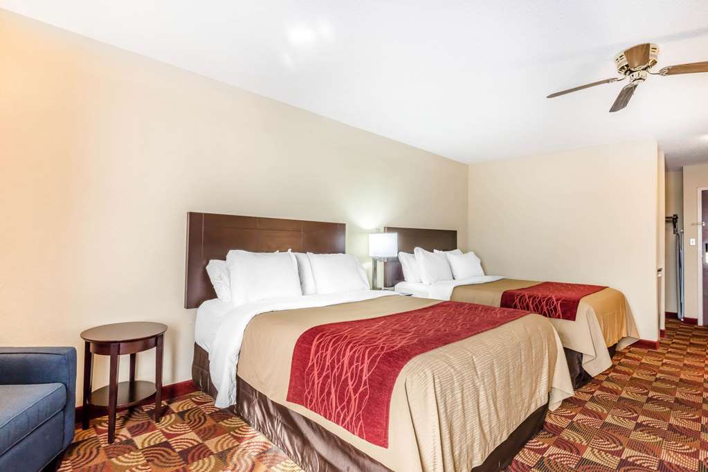 Comfort Inn & Suites Jasper Hwy 78 West - photo 15