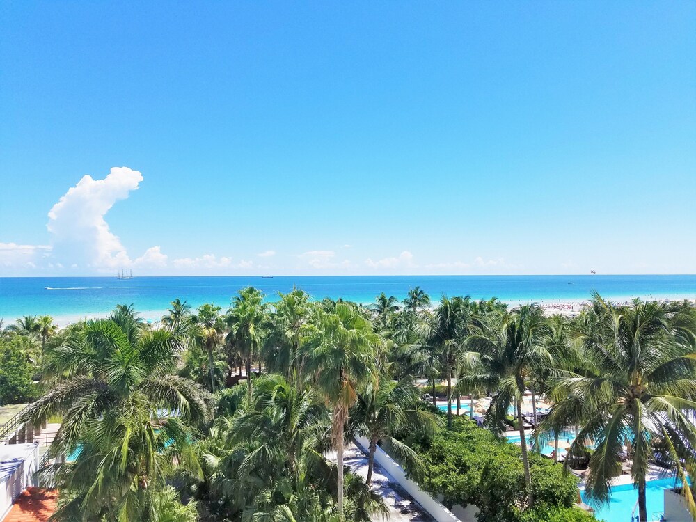Seagull Hotel Miami Beach - photo 49