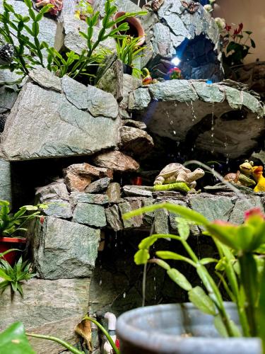 El Patio de las Orquídeas Centro Histórico de Cuenca in Cuenca, Ecuador