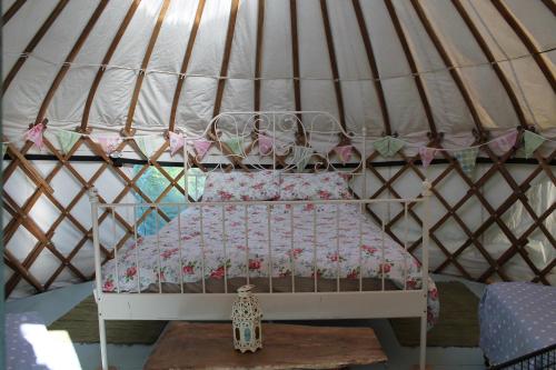 Mill Haven Place Glamping yurt 1 in Haverfordwest, United Kingdom