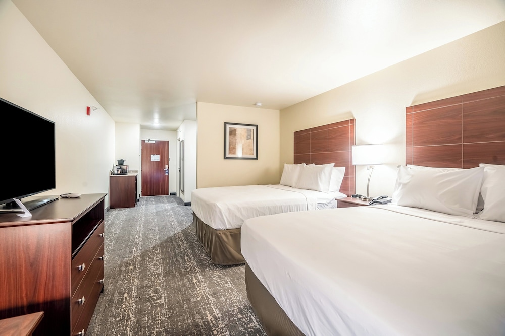 Cobblestone Inn & Suites Kermit - photo 19