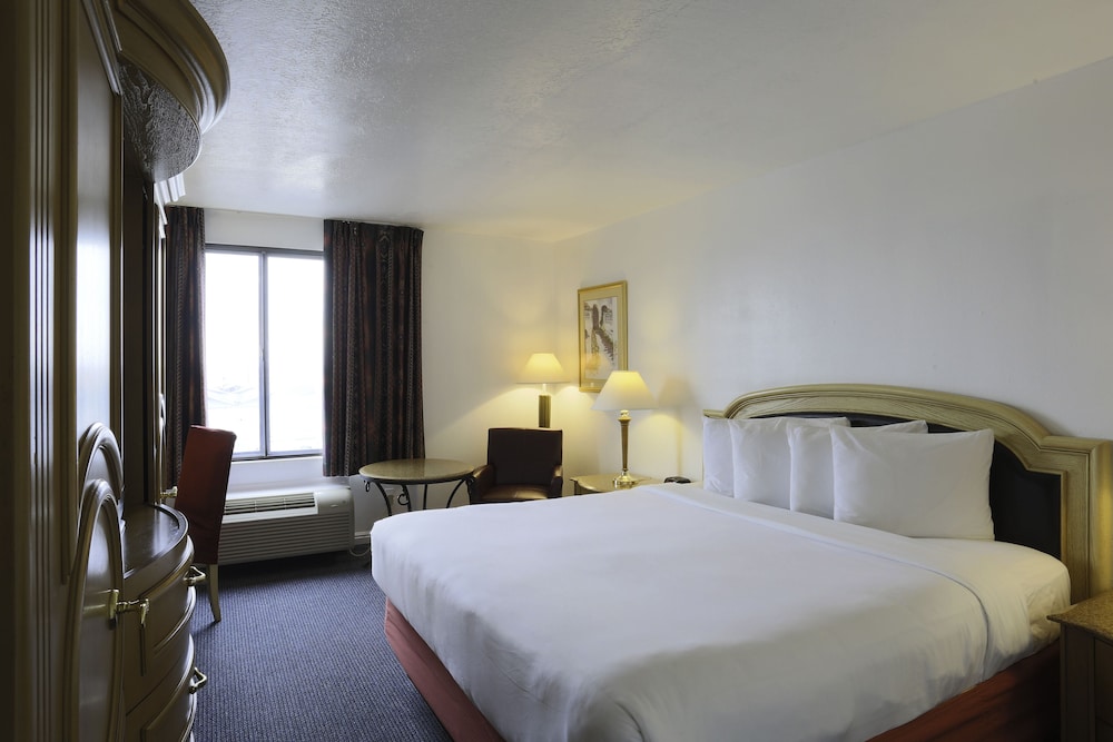 Airport Inn Hotel - photo 21