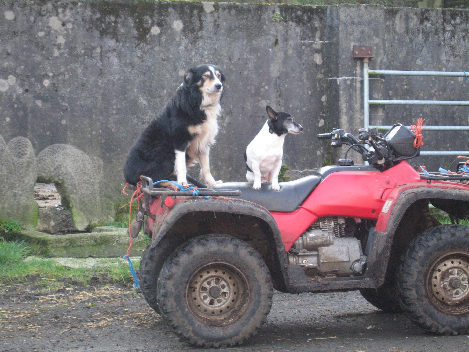 Dieskirt Farm — 4-Star Luxury Hotel in Ballymena, United Kingdom