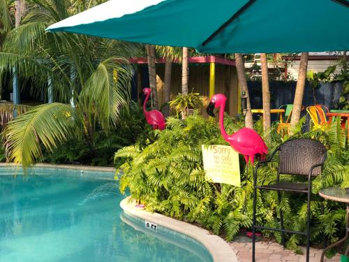 Calypso Inn Wilton Gay Male Resort - photo 8