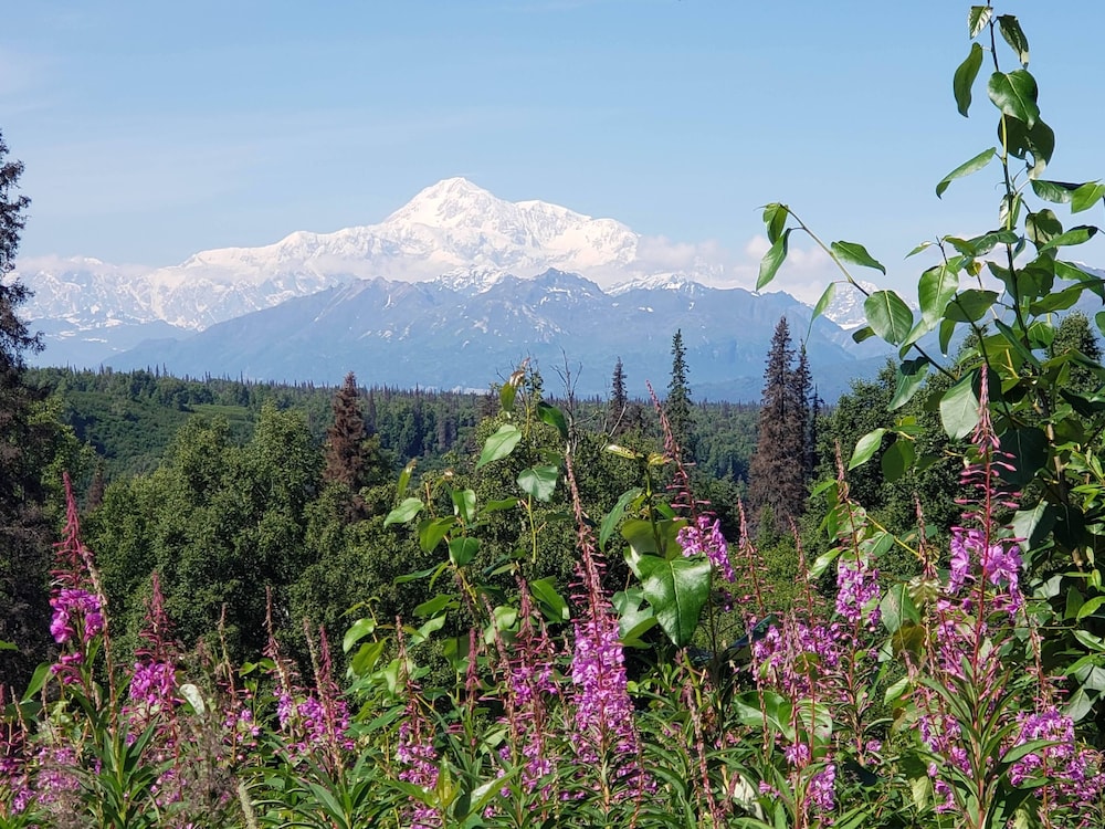 Denali Wild Stay - photo 85