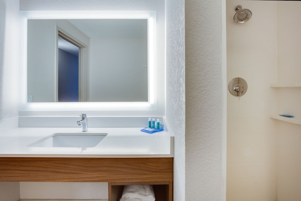 Holiday Inn Express Hotel & Suites Tampa Fairgrounds Casino by IHG - photo 28