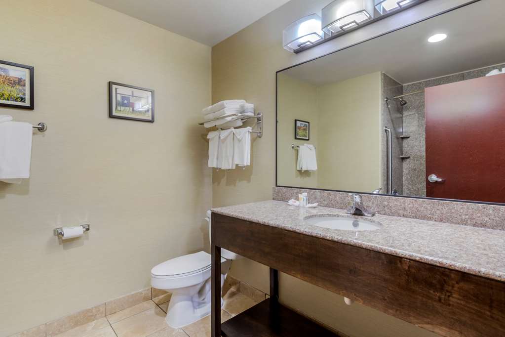 Comfort Suites Pflugerville Austin North - photo 8