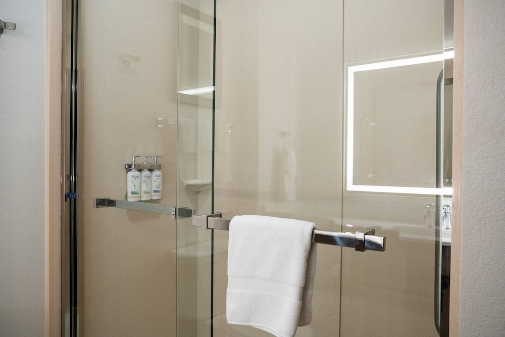 Holiday Inn Express & Suites Las Cruces North by IHG - photo 16
