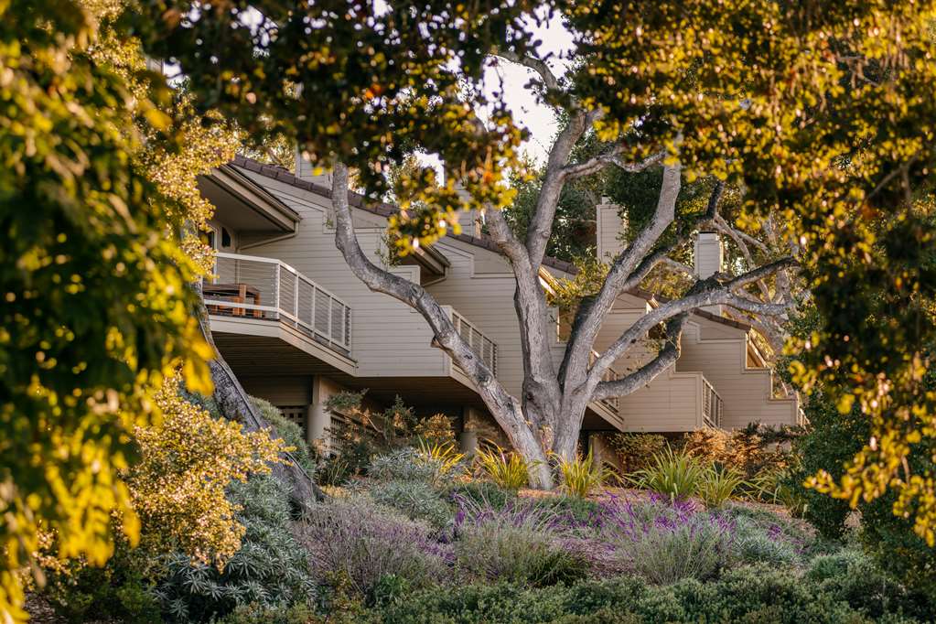 Carmel Valley Ranch in The Unbound Collection by Hyatt - photo 26