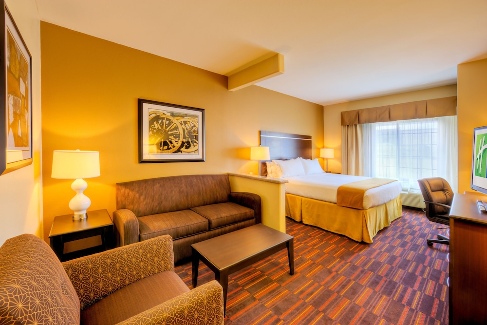 Holiday Inn Express & Suites Granbury by IHG - photo 2