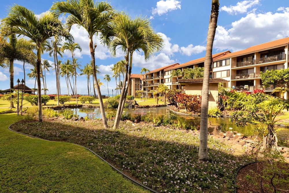 Panoramic Ocean View 1br Condo Suite 150 Feet From The Ocean At Papakea Ocean Front Resort 1 Bedroom Condo by RedAwning - photo 33
