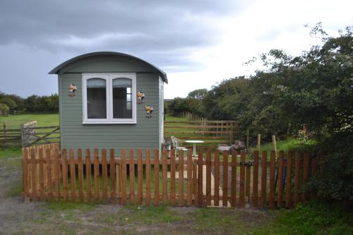 Peaceful Shepherd’s Hut next to Horse Field in Morpeth, United Kingdom