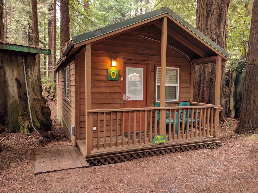 Emerald Forest Cabins - photo 98