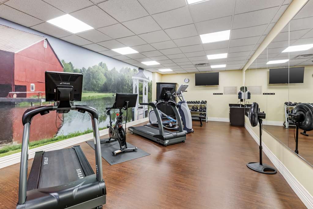 Best Western Plus Dutch Haus Inn and Suites - photo 8