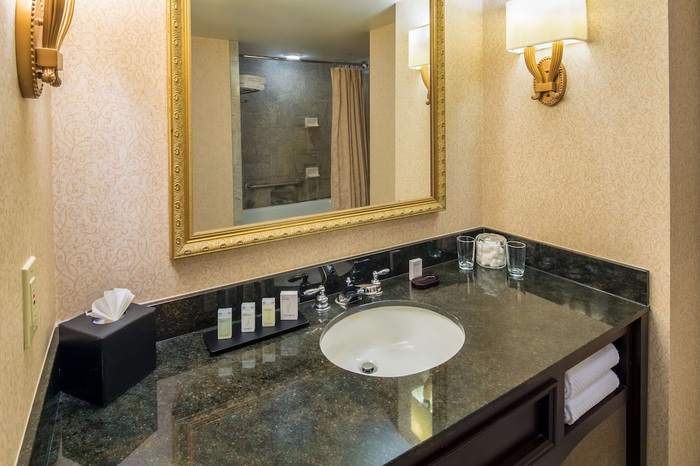 Embassy Suites by Hilton Portland Downtown - photo 32