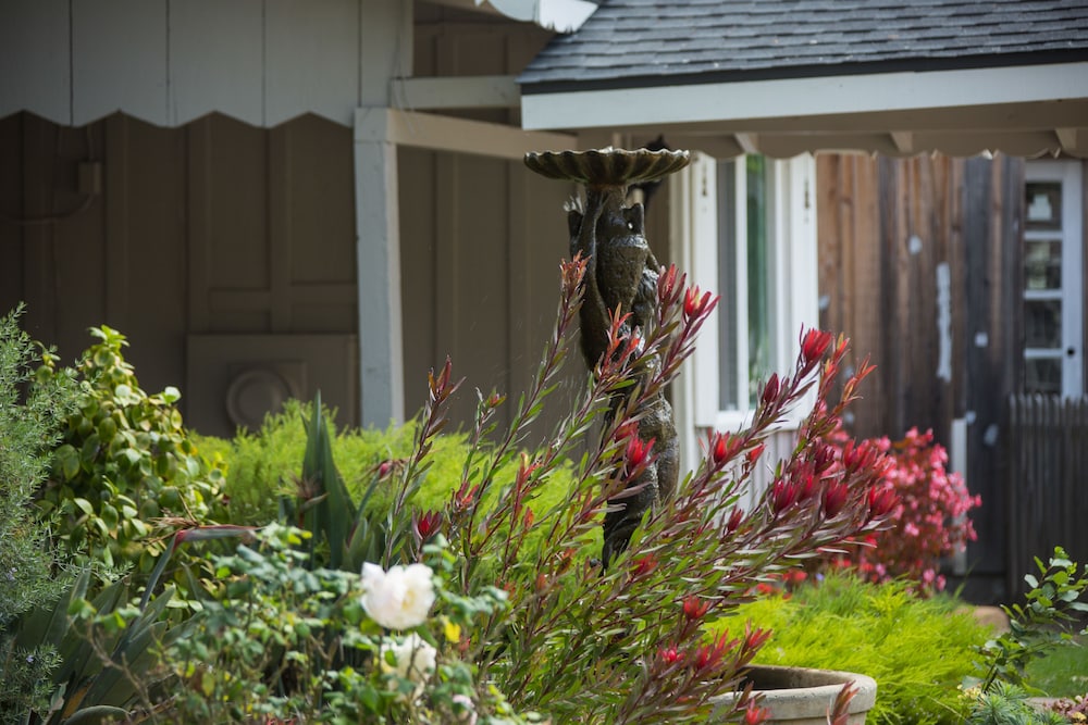 Carmel River Inn & Cottages - photo 61