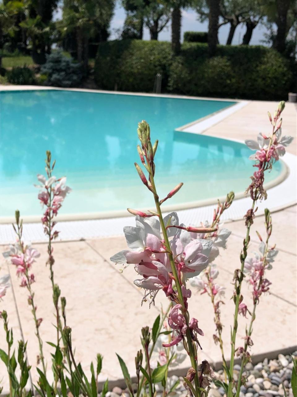 Agriturismo Il Glicine Bianco — 4-Star Luxury Hotel in Monzambano, Italy