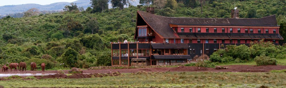 The Ark — 5-Star Luxury Hotel in Nyeri, Kenya