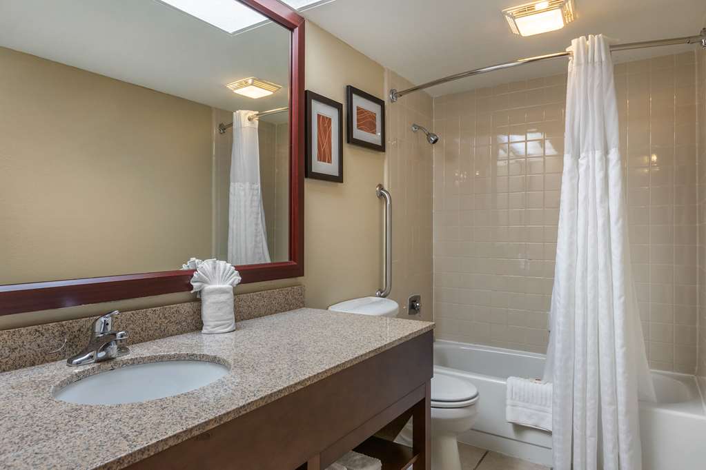 Comfort Inn Grand Rapids Airport - photo 30