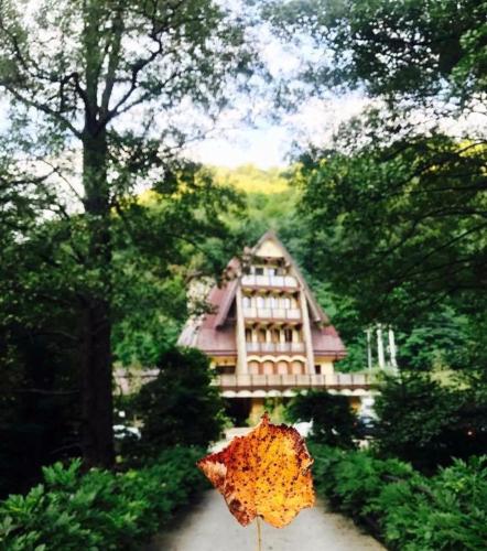 Pension Casa Vanatorilor — 4-Star Luxury Hotel in Comanca, Romania