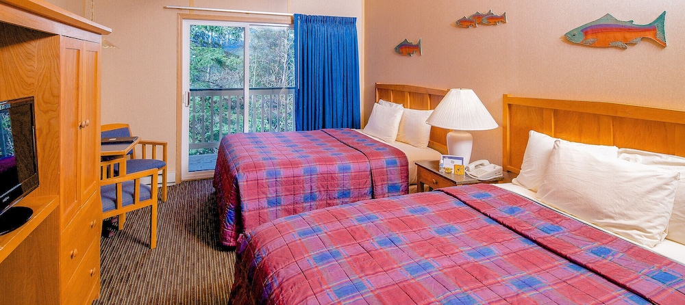 Denali Bluffs Hotel - photo 9